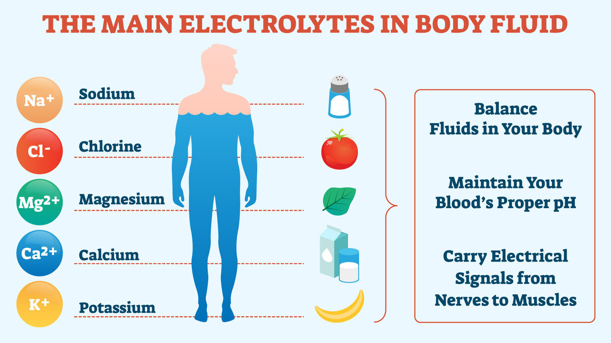 Electrolytes-in-body